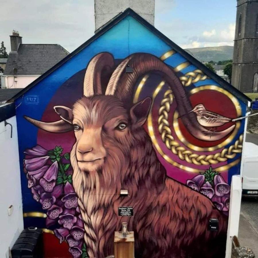 'Senan' Luxury Double Room Foxford Dış mekan fotoğraf